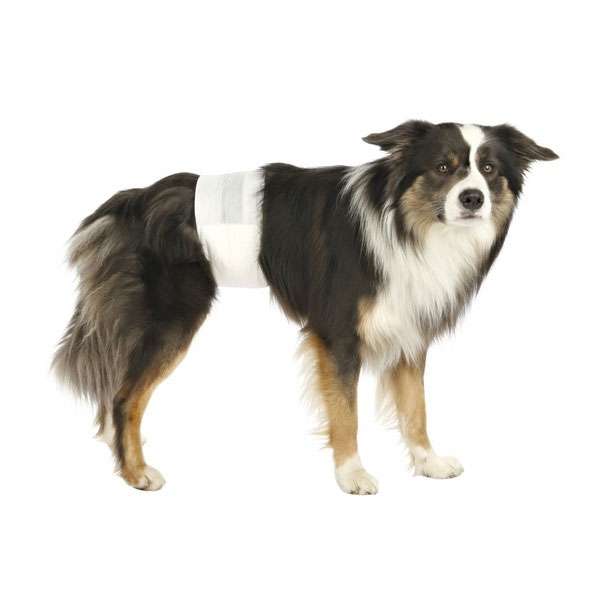 Trixie Hundewindeln für Rüden - L-XL