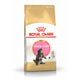 Royal Canin Feline Maine Coon Kitten - 4 kg