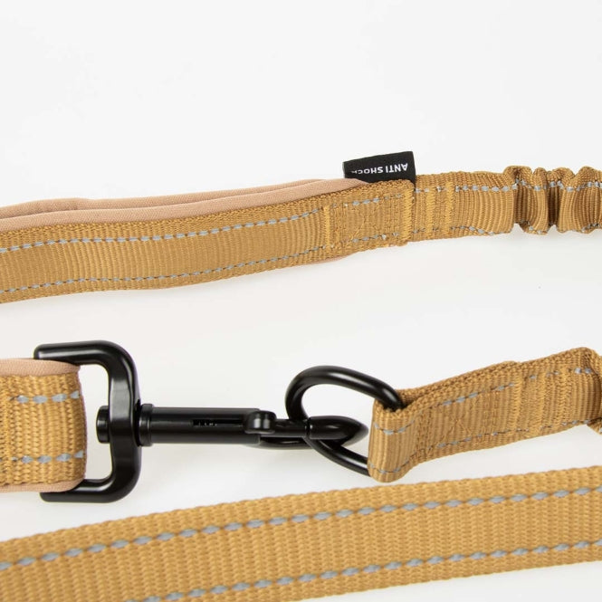 Duvoplus EXPLOR Ultimate Fit 2in1 Leine Classic - honey gold - 180cm - 25mm