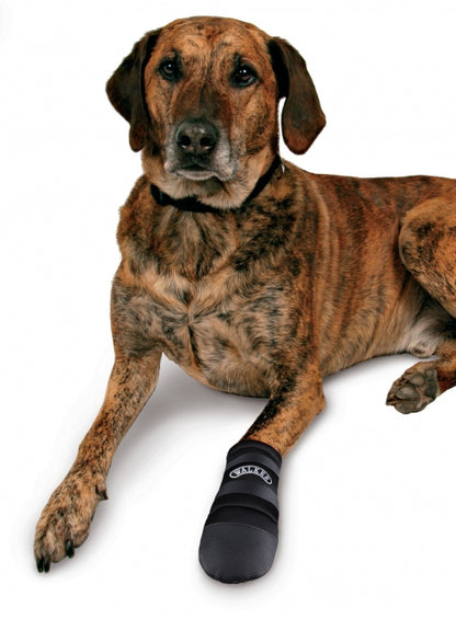 Trixie Walker Care Pfotenschutz-Stiefel - XXL