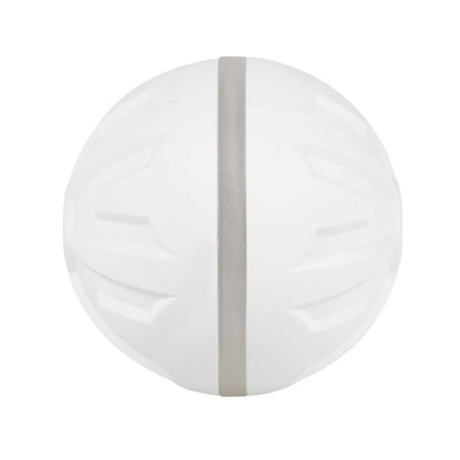 EBI Dog Toy Boogie Ball