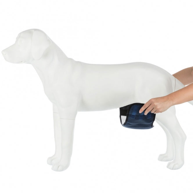 Trixie Windeln für Rüden, waschbar - S / 29-37 cm