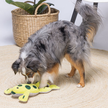 Beeztees Hide And Seek Frosch