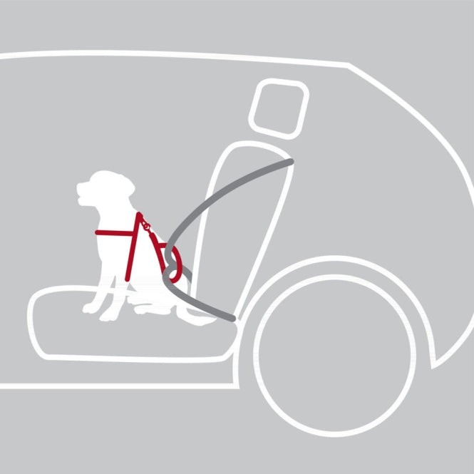 Trixie Auto-Sicherheitsgeschirr Dog Protect - M: 50-65 cm